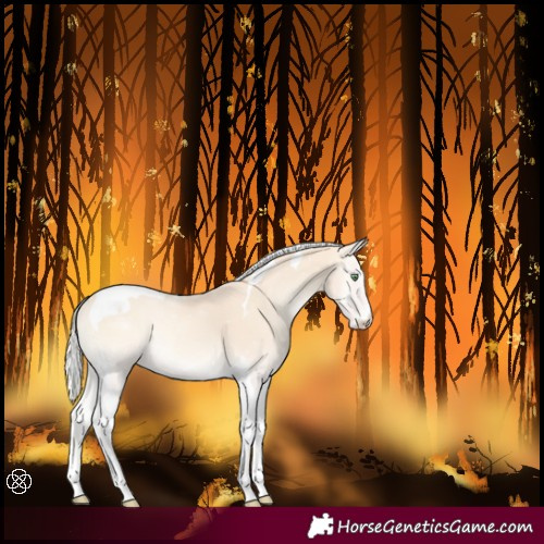 Horse Color:Silver Perlino Onyx Tobiano