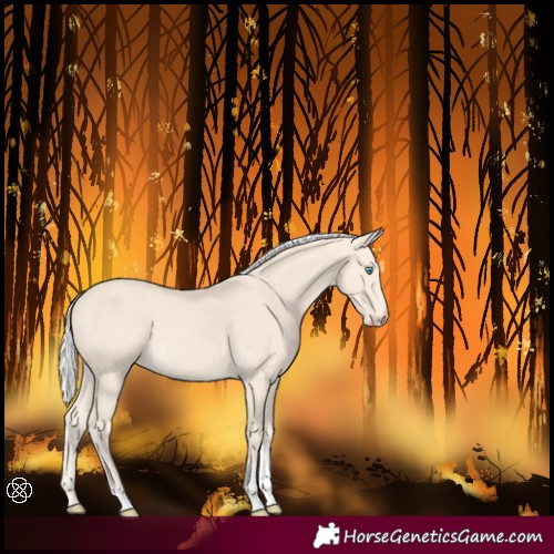 Horse Color:Silver Perlino Tobiano