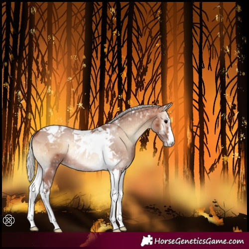 Horse Color:Silver Brown Onyx Tobiano
