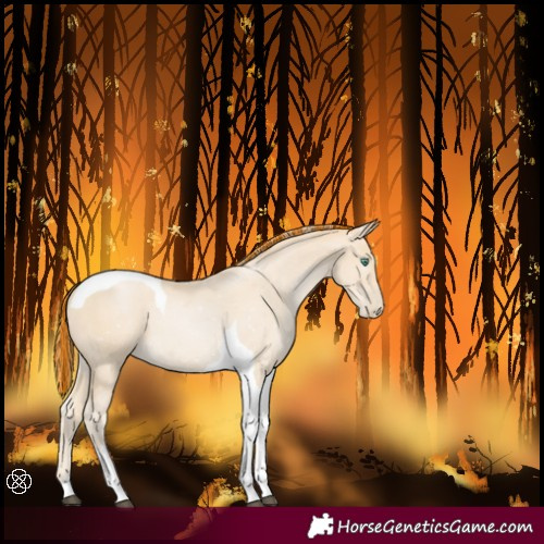 Horse Color:Painted Smoky Black Snowdrop Tobiano