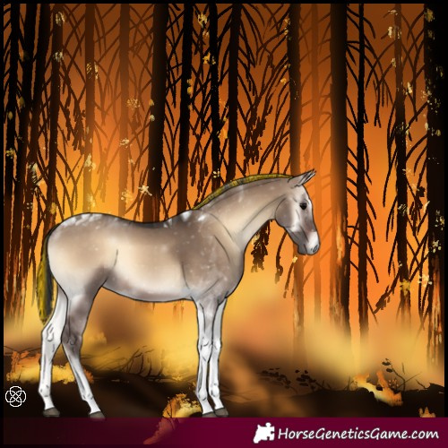 Horse Color:Painted Brown Onyx Tobiano 