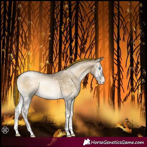 Horse Color:Painted Buckskin Pearl Onyx Sabino Tobiano