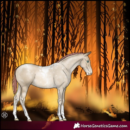 Horse Color:Painted Smoky Black Pearl Sabino Tobiano 