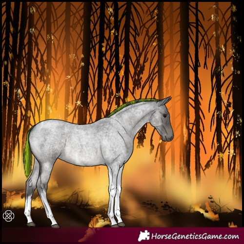 Horse Color:Painted Blue Roan Tobiano 