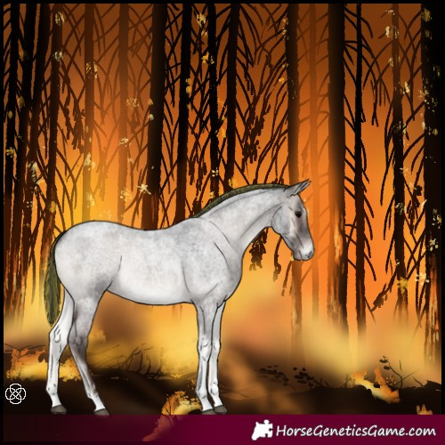 Horse Color:Painted Blue Onyx Roan Tobiano