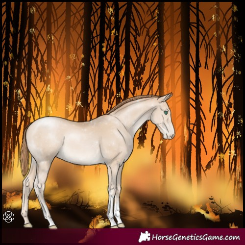 Horse Color:Smoky Black Pearl Sabino Tobiano 