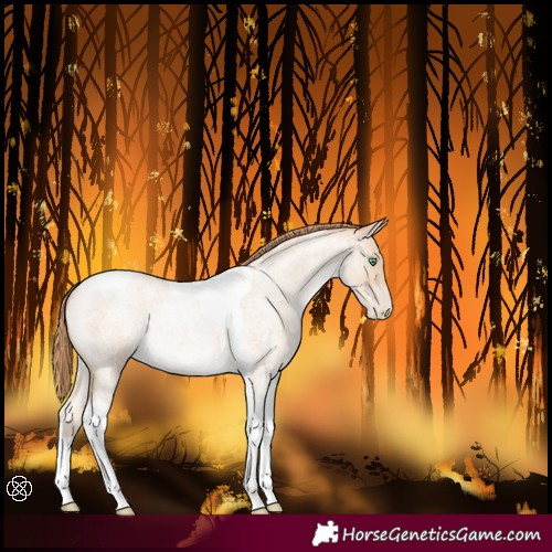 Horse Color:Smoky Blue Roan Pearl Tobiano