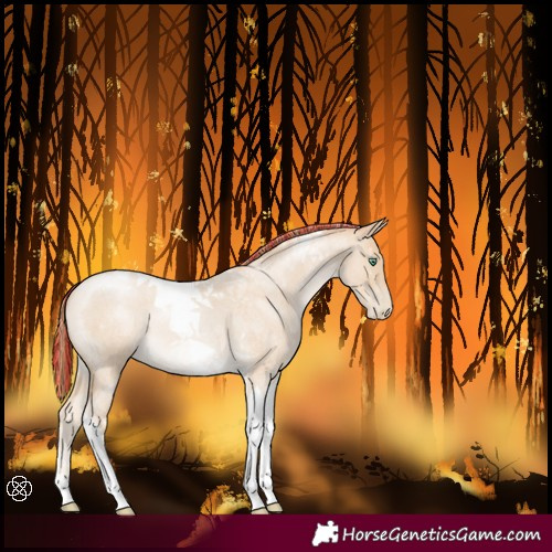 Horse Color:Painted Smoky Blue Roan Pearl Tobiano 