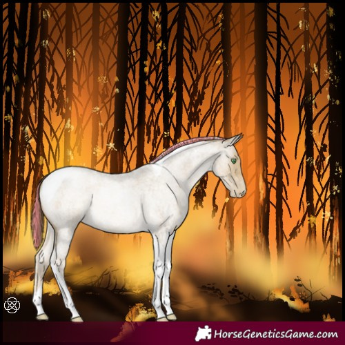 Horse Color:Painted Smoky Blue Roan Pearl Tobiano 