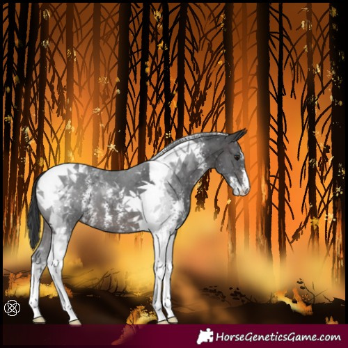 Horse Color:Brown Sabino Tobiano 