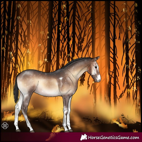 Horse Color:Brown Onyx Sabino Tobiano