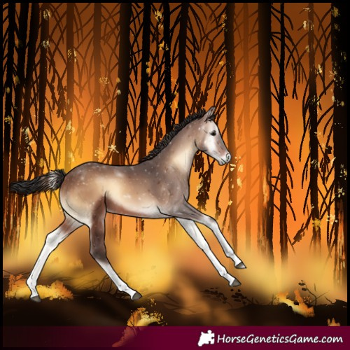 Horse Color:Brown Onyx Tobiano