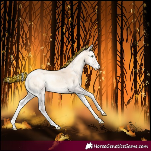 Horse Color:Painted Perlino Onyx Tobiano