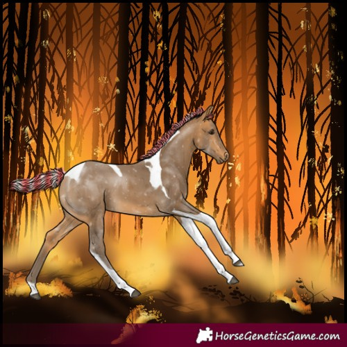 Horse Color:Painted Silver Buckskin Tobiano