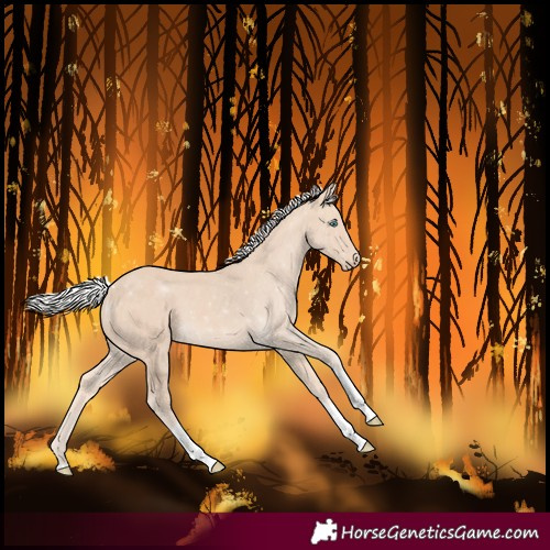 Horse Color:Silver Perlino Tobiano 