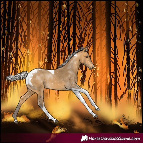 Horse Color:Silver Buckskin Tobiano 