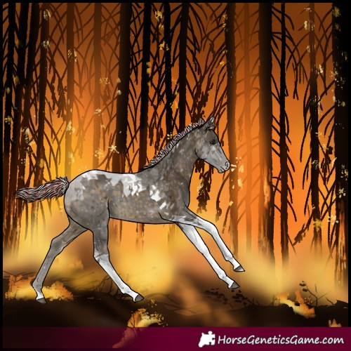 Horse Color:Painted Silver Buckskin Tobiano