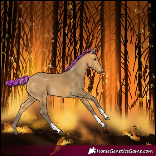 Horse Color:Painted Silver Buckskin Tobiano
