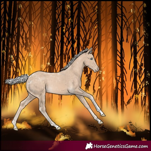 Horse Color:Silver Perlino Tobiano 