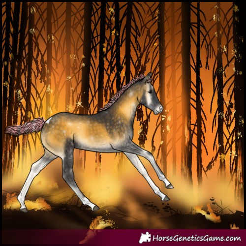 Horse Color:Painted Silver Buckskin Onyx Tobiano