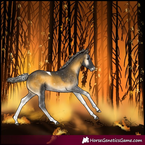 Horse Color:Silver Buckskin Onyx Tobiano
