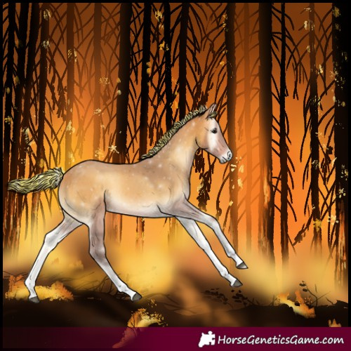 Horse Color:Painted Silver Buckskin Onyx Tobiano 