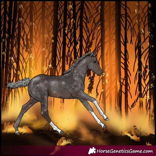 Horse Color:Silver Brown Tobiano