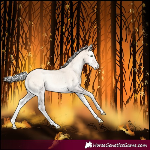 Horse Color:Silver Perlino Onyx Tobiano 