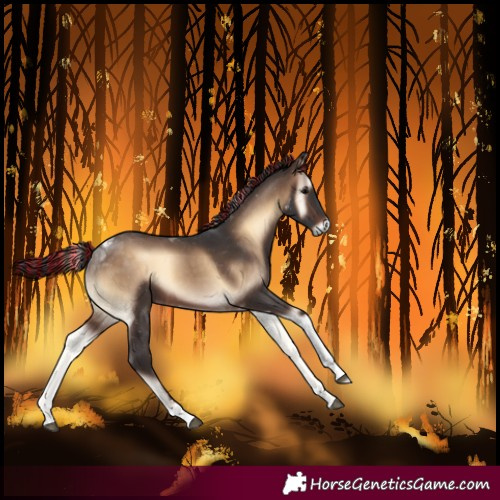 Horse Color:Painted Brown Onyx Tobiano