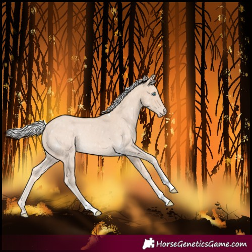 Horse Color:Silver Perlino Tobiano