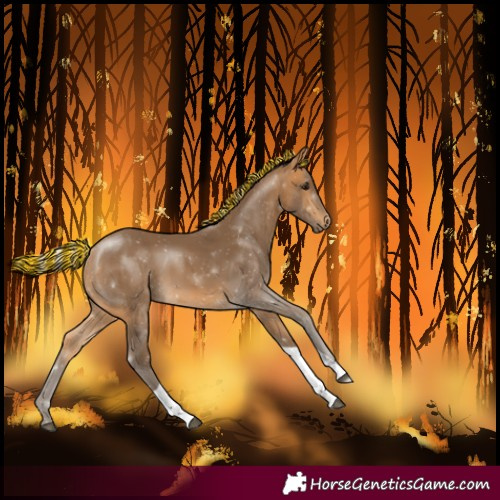 Horse Color:Painted Silver Buckskin Tobiano