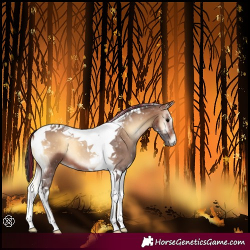 Horse Color:Painted Brown Onyx Tobiano 