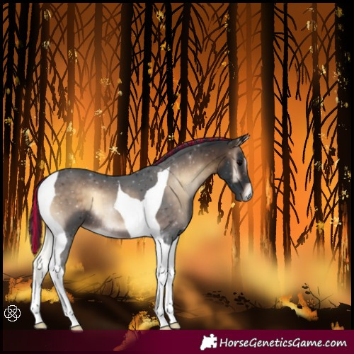 Horse Color:Painted Brown Onyx Tobiano 