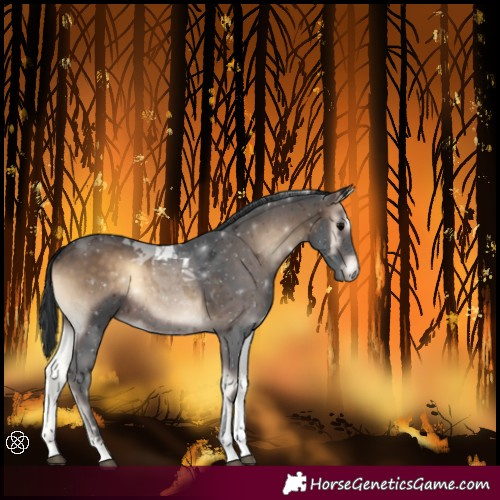Horse Color:Brown Onyx Tobiano