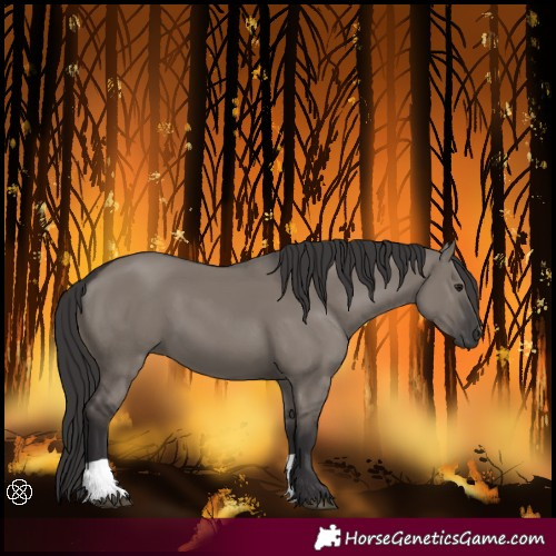 Horse Color:Smoky Grullo 