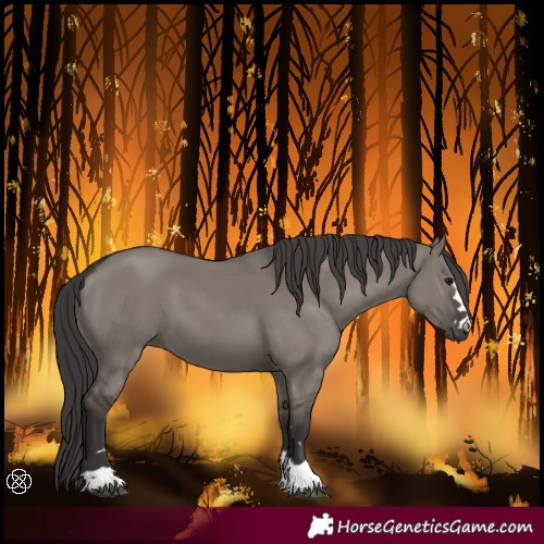 Horse Color:Smoky Grullo 
