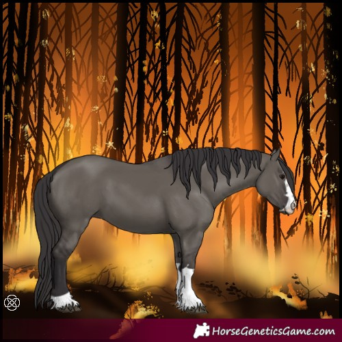 Horse Color:Smoky Grullo