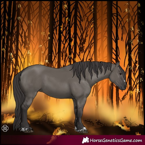 Horse Color:Smoky Grullo 