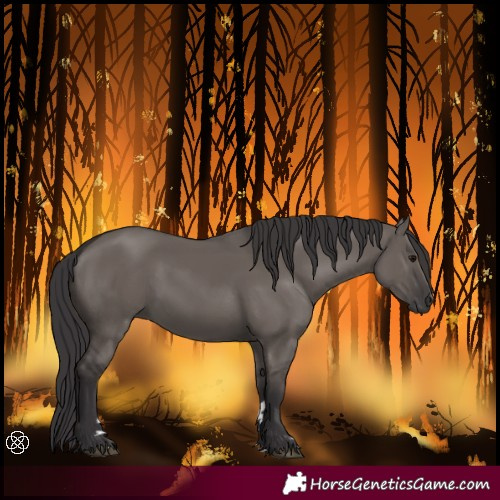 Horse Color:Smoky Grullo