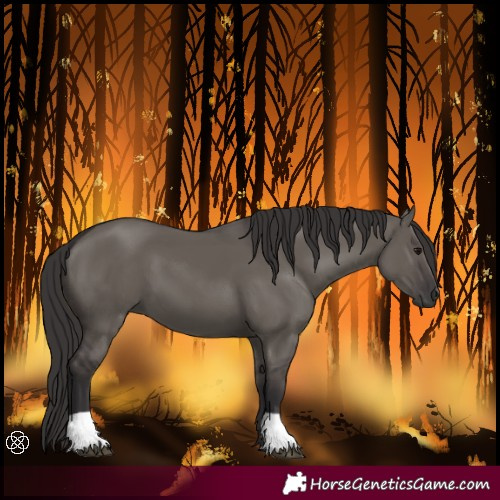 Horse Color:Smoky Grullo 