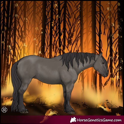Horse Color:Smoky Grullo 