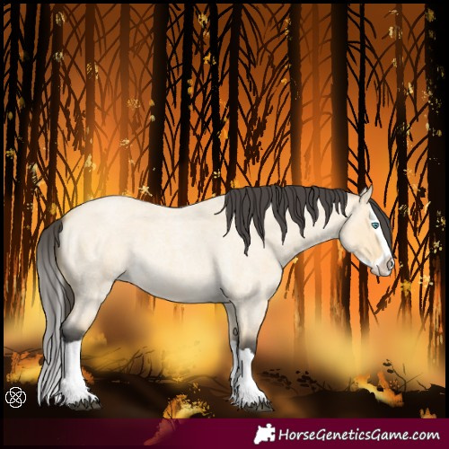 Horse Color:Buckskin Roan Dun Splash 