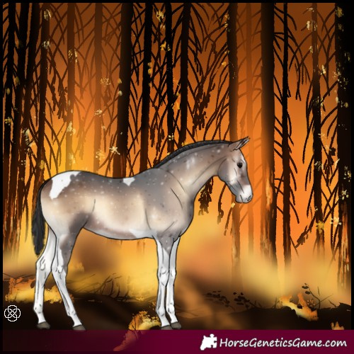 Horse Color:Brown Onyx Tobiano 
