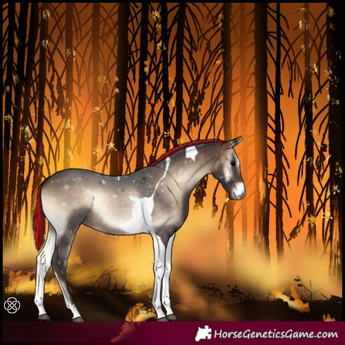 Horse Color:Painted Brown Onyx Tobiano 