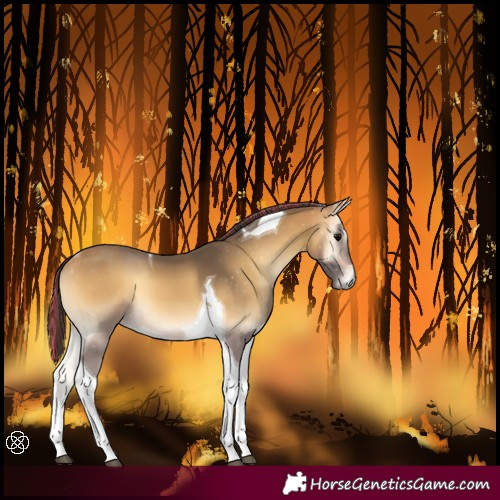 Horse Color:Painted Buckskin Onyx Tobiano