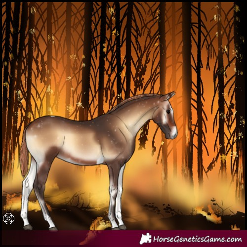 Horse Color:Painted Brown Onyx Tobiano