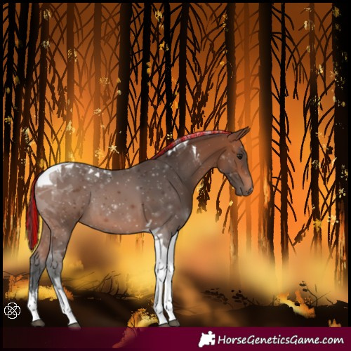 Horse Color:Painted Bay Tobiano 