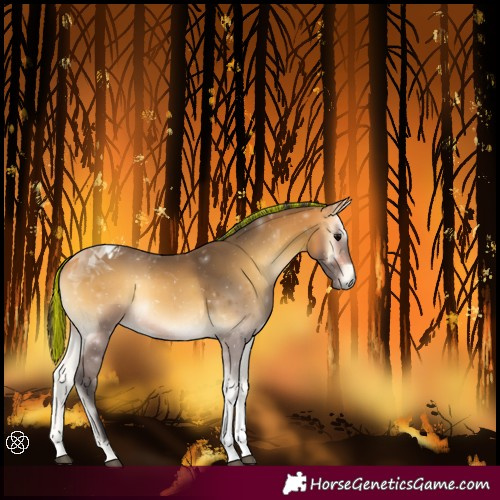 Horse Color:Painted Buckskin Onyx Tobiano