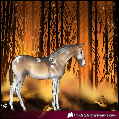 Horse Color:Painted Buckskin Onyx Tobiano