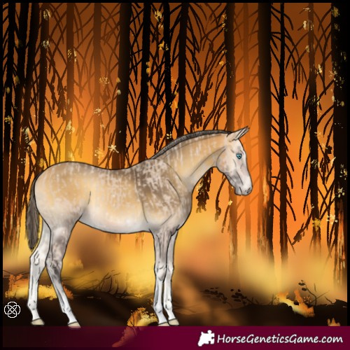 Horse Color:Smoky Creme Tobiano and Painted Buckskin Onyx Tobiano